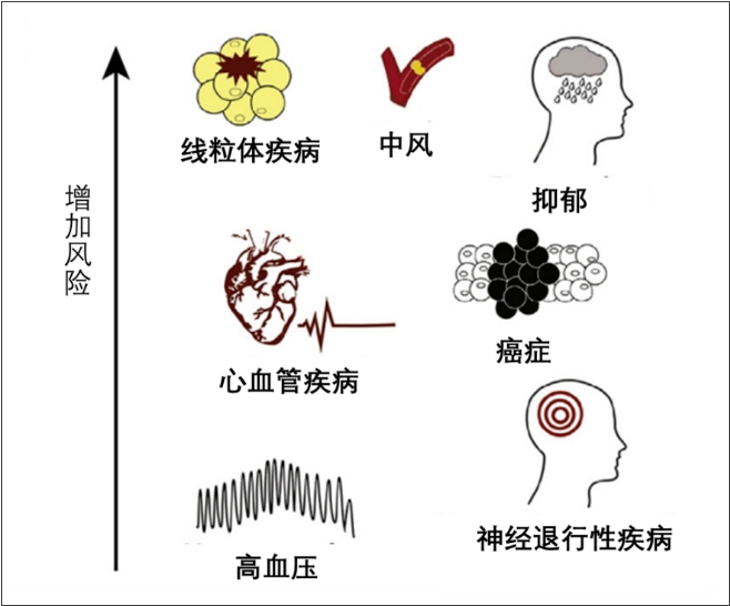 无创呼吸机