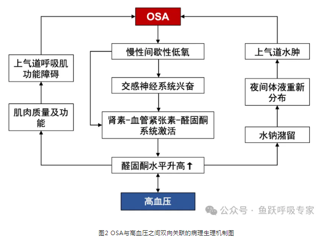 无创呼吸机,高流量呼吸湿化治疗仪,睡眠监测