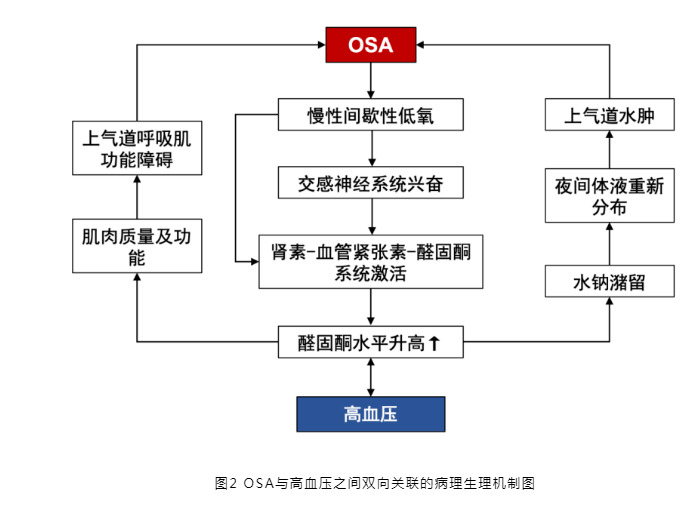 无创呼吸机,高流量呼吸湿化治疗仪,睡眠监测	